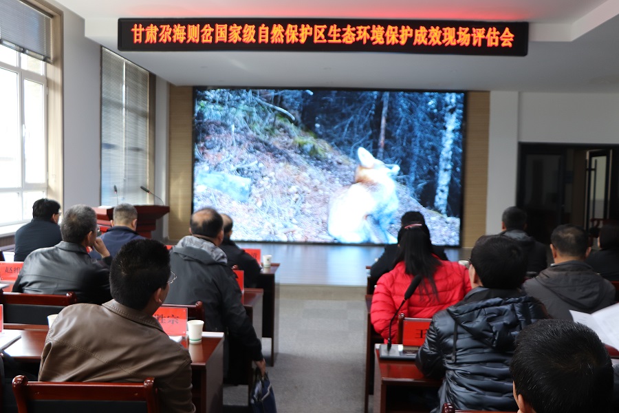 生态环境部专家组对尕海则岔国家级自然保护区生态环境保护成效开展现场评估工作